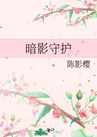 暗影守护